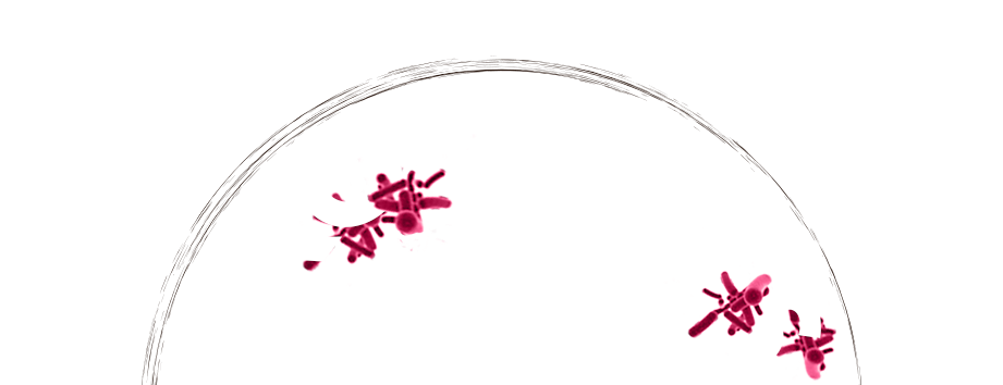 Probibites